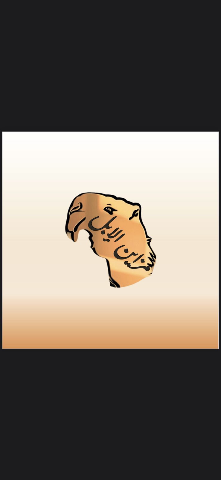 تطبيق حراج مزاين الإبل